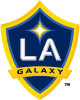 pm-LA-galaxy-100